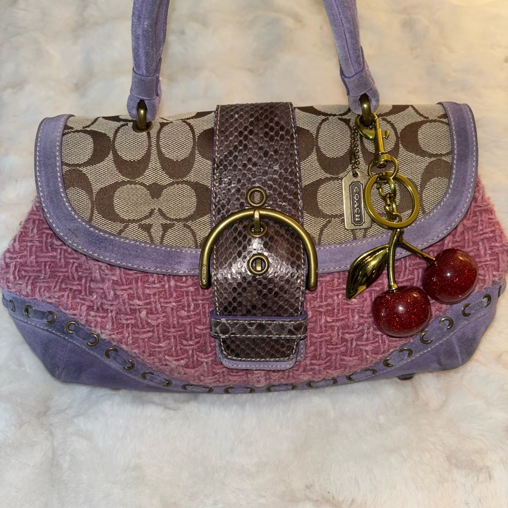 Coach Purple and Pink Signature Bag